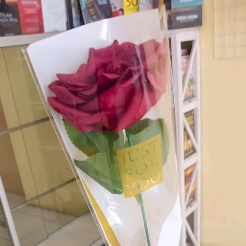 Rose Just for you 1