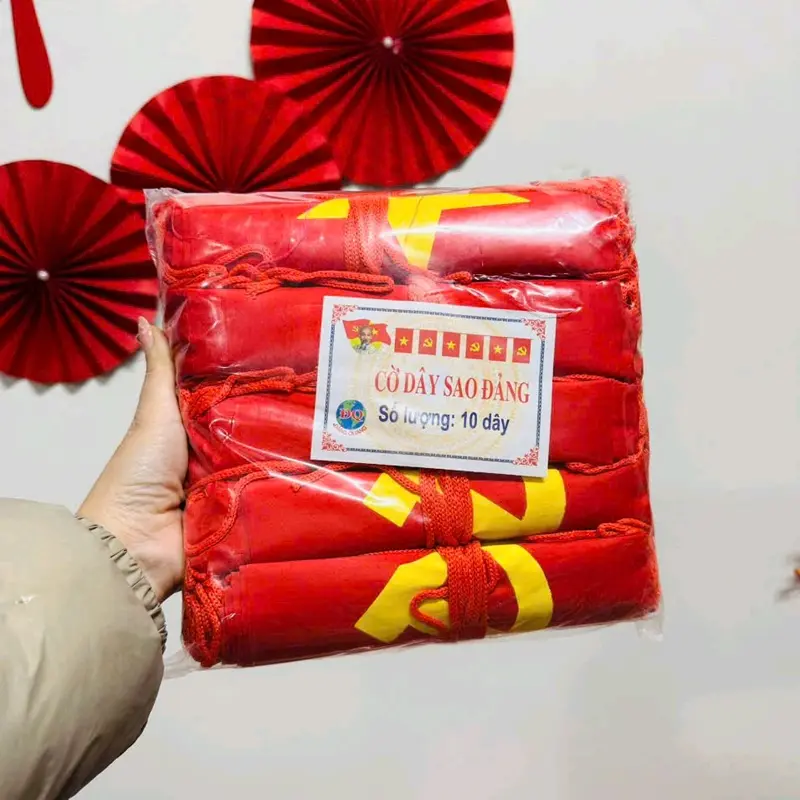 Cờ dây trang trí cuộn cờ dây 10m 7