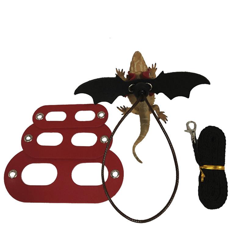 Product Introduction of 2025 Reptile Pet Lizard Leash with Wings Squirrel Harness Chinchilla Leash Green Gecko Lizard Guinea Pig Outdoor Leash 10