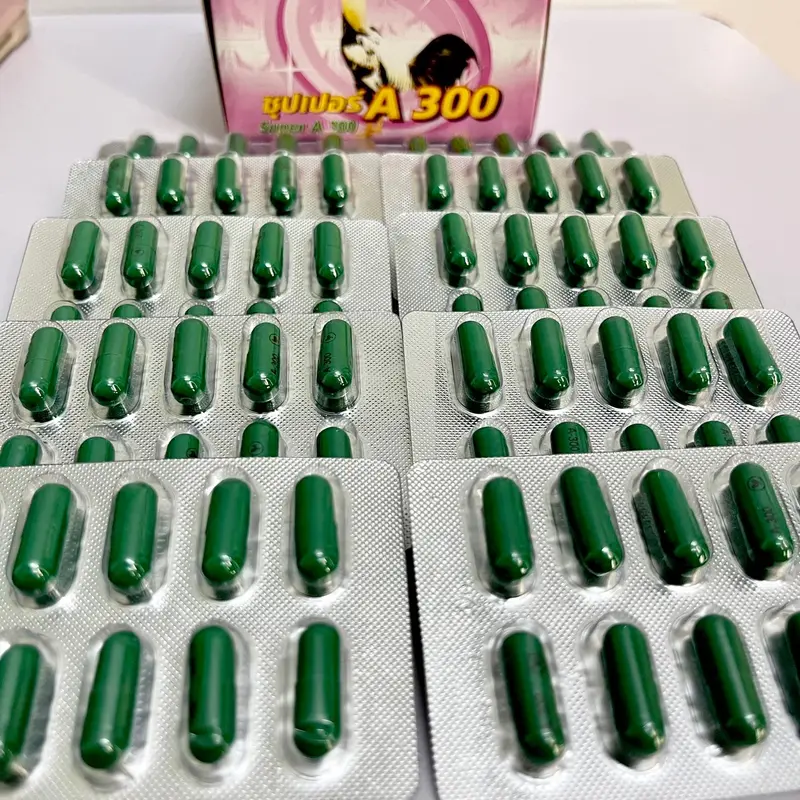Tiêu Kén A300, Cho Gà Đá Gà Tre- Hàng Thái 2