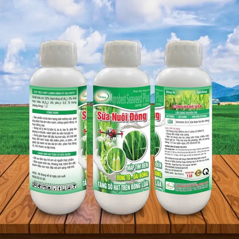 Sữa Nuôi Đòng - Mập tim đèn - Đòng to - Bông bự - Phân bón hữu cơ - 1 lít/ ha 0