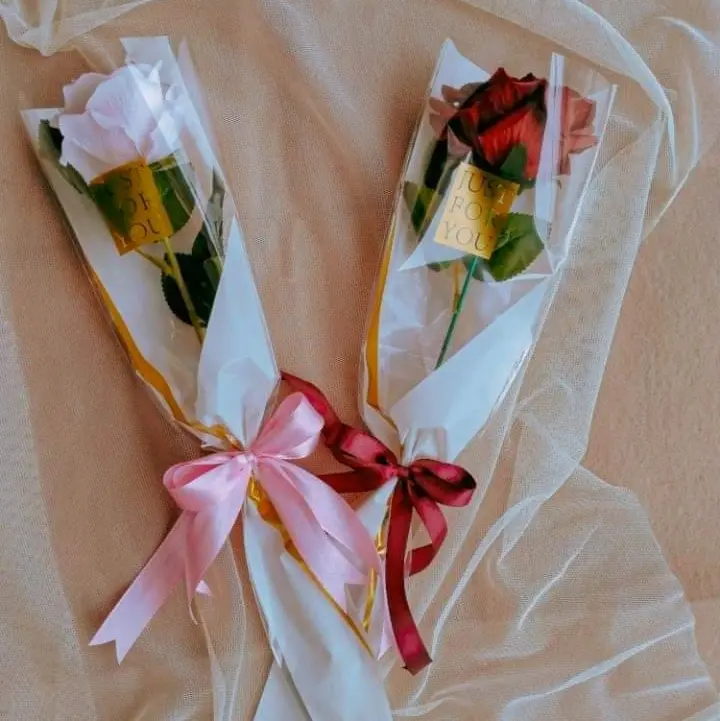 Rose Just for you 2