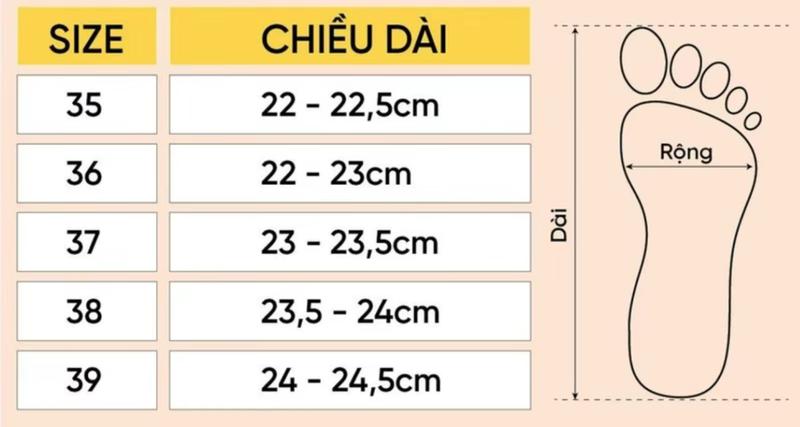 Product Introduction of Guốc Sandal nữ cao gót 3P / Guốc thời trang cao cấp nữ 0