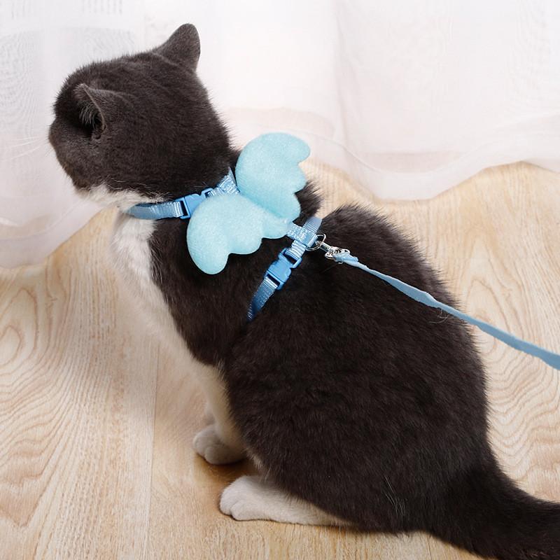 Product Introduction of Pet Cat Traction Rope Angel Wings Rabbit Rope Retractable and Adjustable Length 12