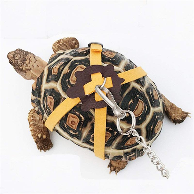 HG Pet Harness Reptile Leash Turtle Lizard Adjustable Outdoor Training Soft Strap Tortoise Reptile Adjustable Leashe Pet Supplies 2