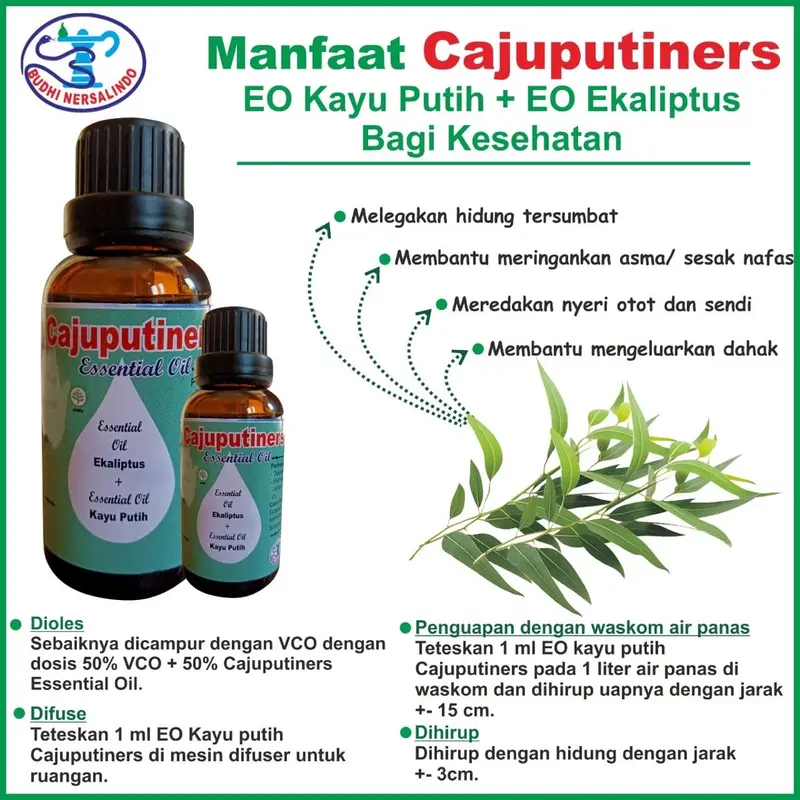 Essensial oil cajuput oil | essensial oil cajuputiners terapi bapil ampuh 0