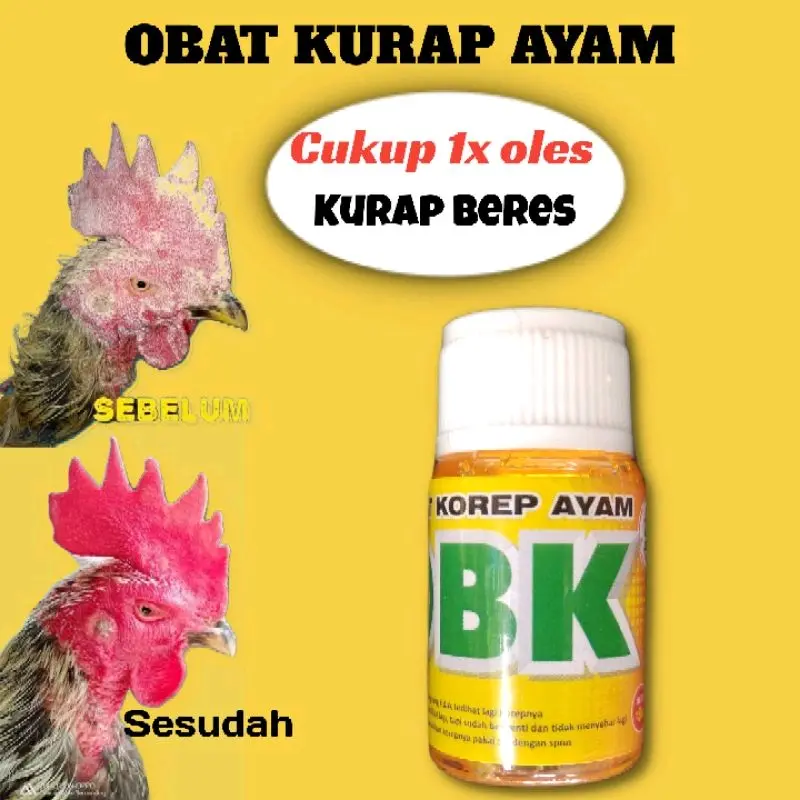 Obat Kurap Korep Ayam Obk Korep Kurap
