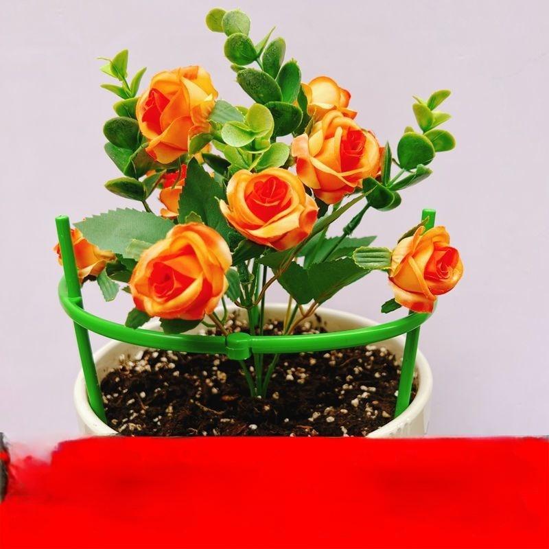 Product Introduction of Plant Support Rod Gardening Stand Flower Stand Climbing Vine Support Indoor Balcony Outdoor Green Radish Christmas Cactus Fixed Support 4