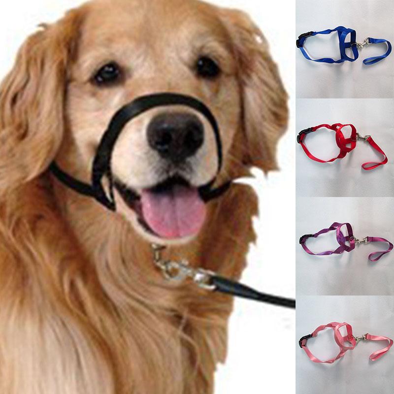 Dog snout leash hotsell