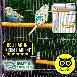 KICAU MART Tangkringan Mainan Ayunan Burung Lovebird Parkit Kenari Parrot Falk Sunconure Sugar Glider SGD Hamster Marmut Landak mini Kayu Ateraktif Tipe C Tenggeran Sangkar Kandang Hewan