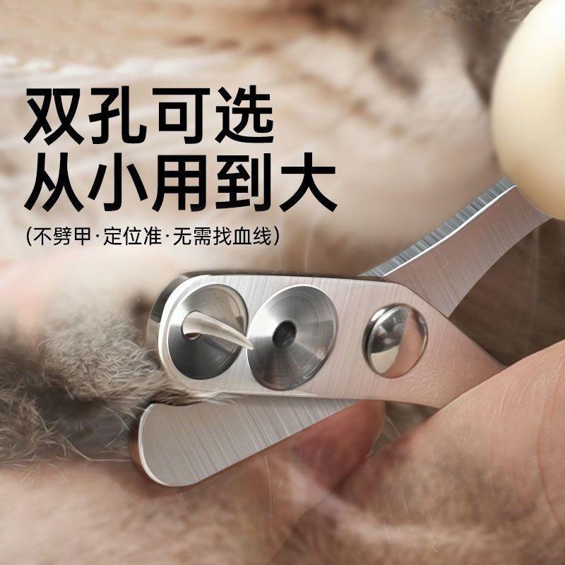 Dụng Cụ Bấm Móng Cho Mèo, Dành Cho Người Mới Bắt Đầu, Cắt Móng Cho Chó Mèo Và Thỏ Nhỏ Dụng Cụ Cắt Móng Tay, Dụng Cụ Cắt Móng Tay Cho Thú Cưng, Dụng Cụ Cắt Chân Mèo, Được Đánh Giá Tích Cực 22k, Năm 2025 3