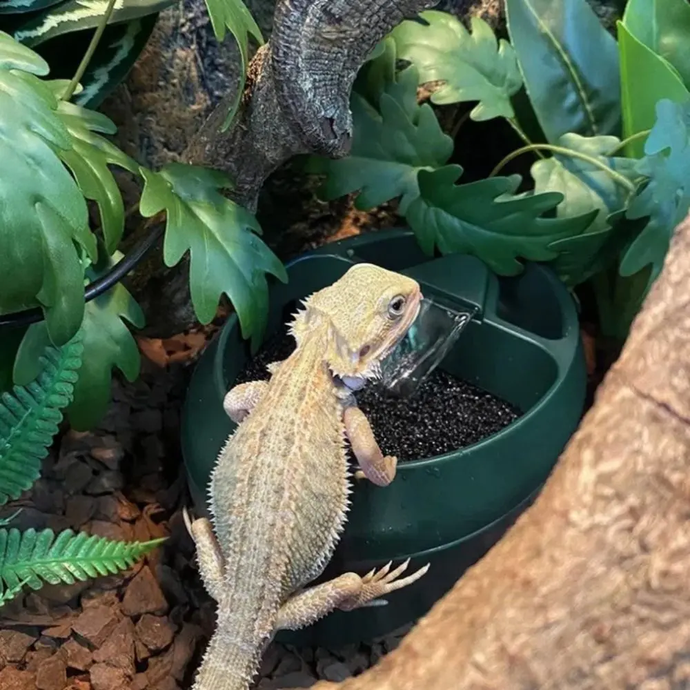 Creative Double Layer Filtration Amphibian Drinking Fountain US Plug Mute Lizard Water Dripper 700ml Plastic Bearded Dragon