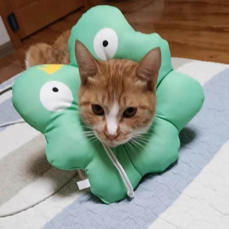 Product Introduction of Pet Accessories Cartoon Pet Elizabeth Collar Frog/Flower Adjustable Cat Recovery Collar Soft Warm Cat Protection Collar For Cats Dog 7
