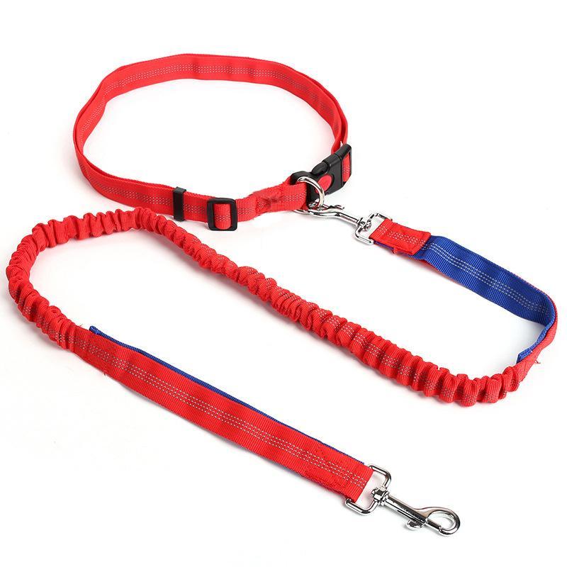 Elastic Nylon Adjustable Dog Leash, Durable Dog Leash, Pet Walking Leash, Dogs Walking Rope, Pets Training Leash, Outdoor Walking Leash for Small Medium Large Dogs 4