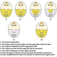 Gambar Pengatur Waktu Telur / Termometer Telur / Layar Warna / Memasak Telur Yang Praktis / Indikator Telur Berubah Warna - A dari Vixplorn MALL Kab. Tangerang 5 Tokopedia