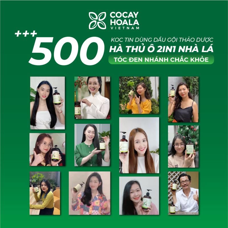 [ BIG SALE ] Dầu Gội Thảo Dược Hữu Cơ Cỏ Cây Hoa Lá Hà Thủ Ô  450g 2in1 - Hỗ Trợ Giảm Rụng, Hỗ Trợ Mọc Tóc 7