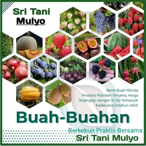 STM Benih Buah Bibit Tanaman Buah F1 Paket Lengkap