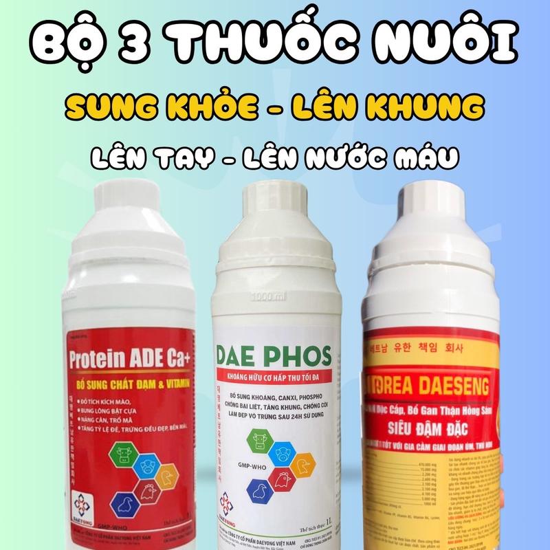 Bộ 3 thuốc nuôi siêu cấp vip giúp gà ae lên tay lên nước máu sung căng đỏ khỏe hừng mạnh cứng xương cứng khớp hạn chế bại liệt giải độc phục hồi gan thận protein ade ca+ dea phos korea deaseng chai chiết lẻ 100ml