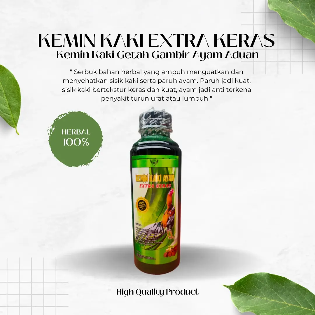 KEMIN KAKI AYAM EXTRA KERAS GETAH GAMBIR Kaki Ayam Aduan Agar Kaki Kuat Sisik Kaki Keras Anti Turun Urat Saat Adu