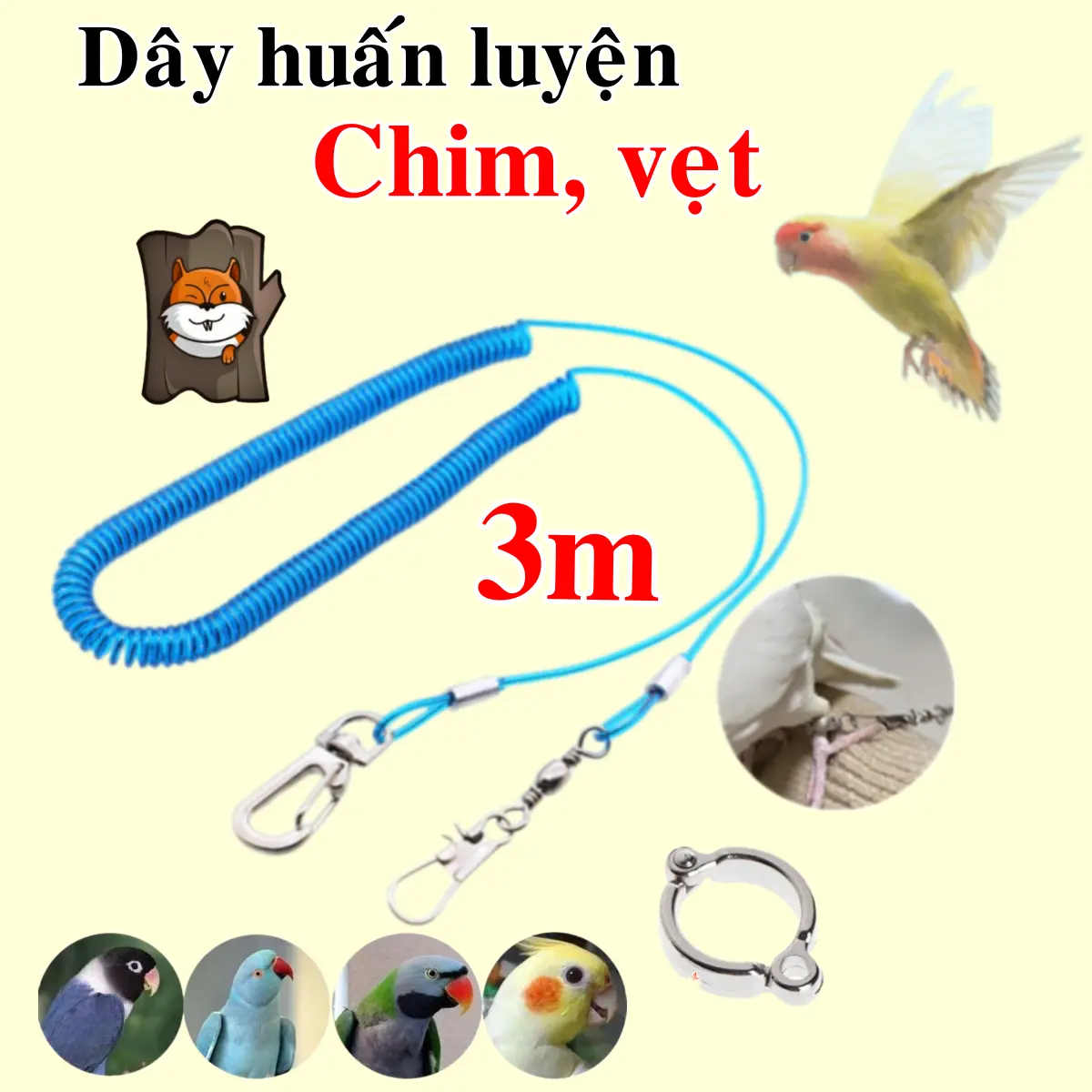 Dây Tập Bay, Dây Huấn Luyện, Dây Xích, Vòng Chân Cho Chim Vẹt [Dây Dài 3M]