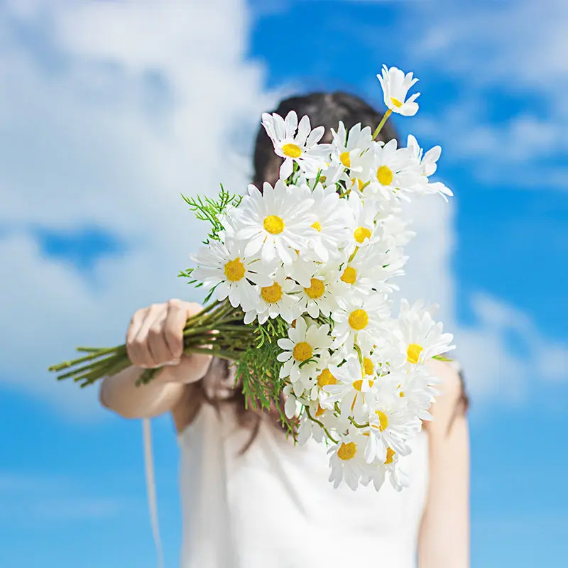 INS Style Little Daisy Fake/Artificial Flower High-End Decoration Living Room Bouquet Plastic Flower Artificial Photo Props Decorative Fruit Plant Ornaments