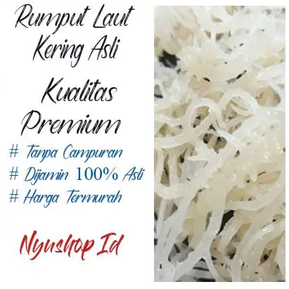 Rumput Laut Kering Isi 100 Gram Kualitas Premium / Spinosum Cottoni / Rempah 0