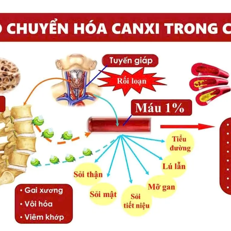 Canxi nano D3 MK7 để bổ sung cho cơ thể mỗi ngày  Trong cơ thể người, 99% Canxi tập trung ở xương và răng, một phần rất nhỏ còn lại được lưu chuyển trong máu. Canxi không chỉ là thành phần chính  cấu  tạo nên xương và răng chắc khoẻ 2