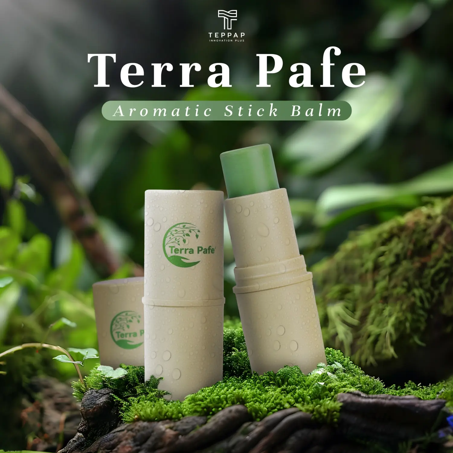 Terra Pafe Aroma Balm (1 or 2 pic) - Fresh and Relaxing Scent, Convenient to Carry, Invigorating, Suitable for Work and Study, Green Supplies