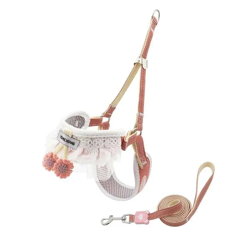Cute Dog Harness Leash Set for Small Breeds - Bichon Teddy Pomeranian Yorkshire & Cats Durable Outdoor Walking Rope