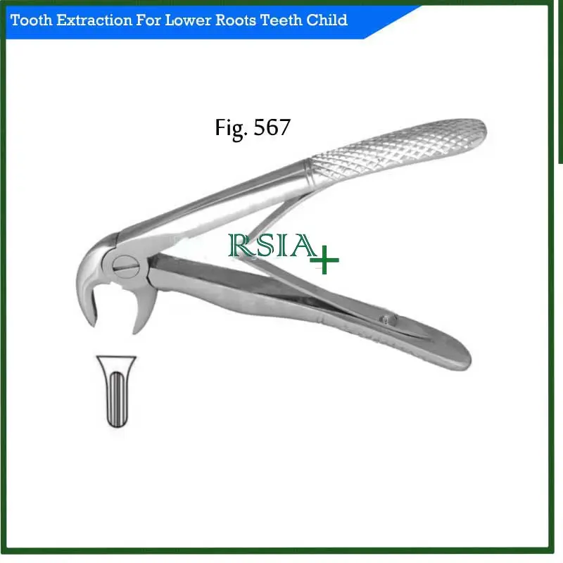 Tang Cabut Gigi Anak Tooth Extracting For Child RSIA