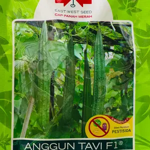 Benih Gambas ANGGUN TAVIF1 Isi 75 Butir