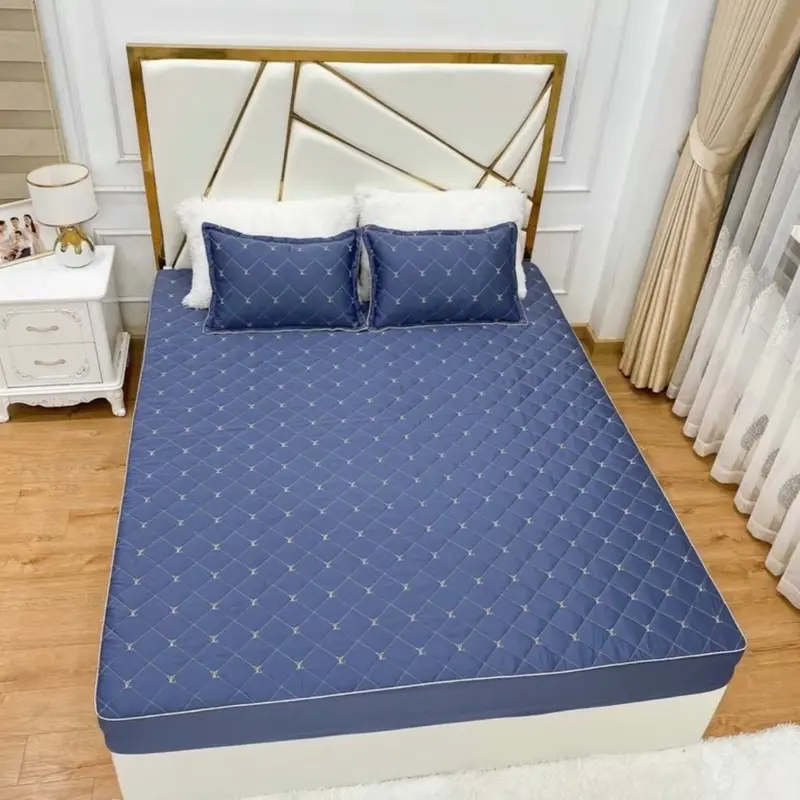 ( Không Kèm Vỏ Gối Đầu ) Lẻ 1 ga phi lụa trần bông , có chun bọc đệm dưới 15cm 4
