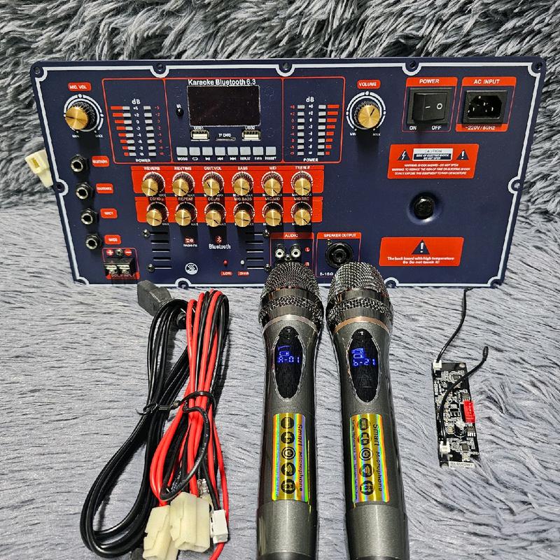 Bo mạch loa kéo T450S công suất lớn