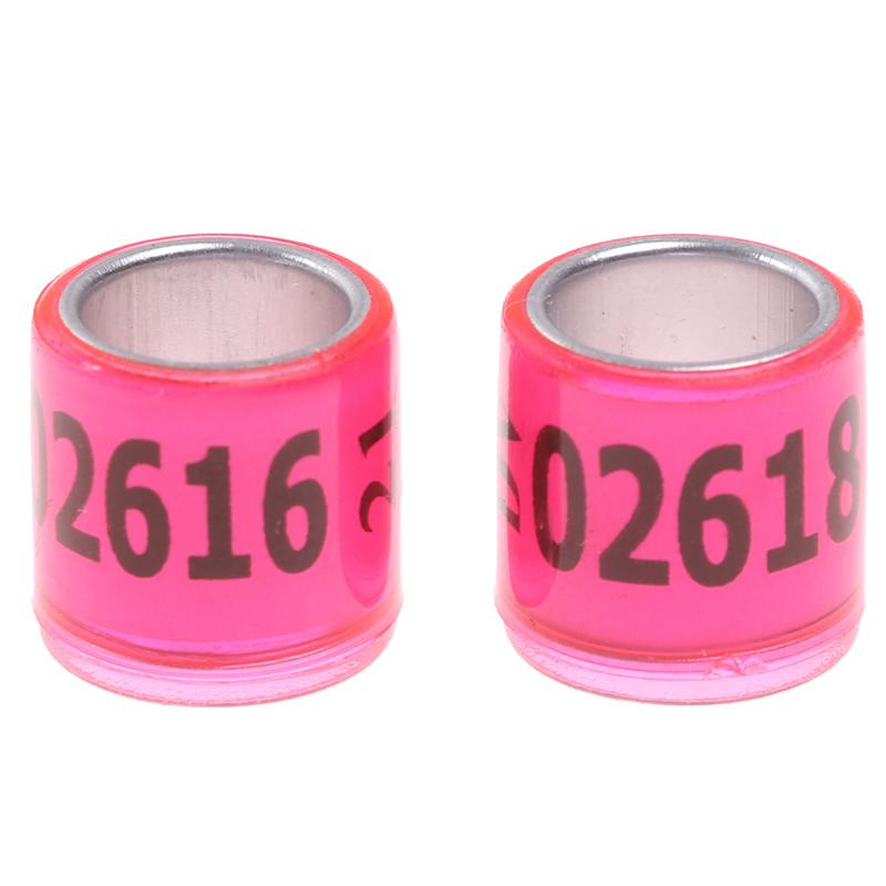Product Introduction of 20 pcs Pigeon Foot Ring With Word Earrings 2023 Multicolor Bird Tools 23