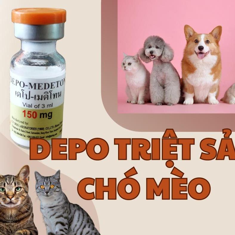 Depo-medeton lọ 3 ml giúp triệt sản chó mèo đực và cái