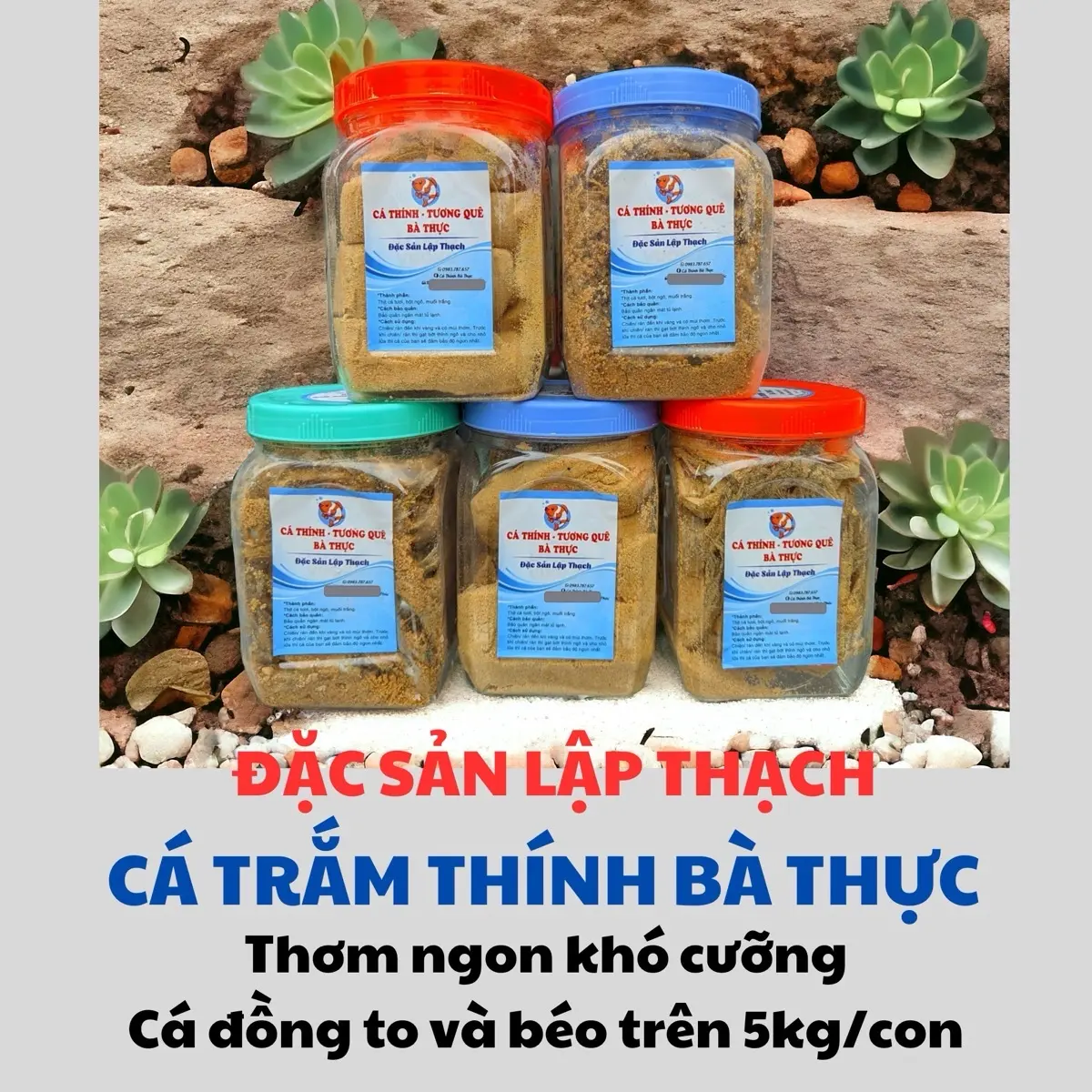 0.5KG TRẮM THÍNH BÀ THỰC CÔNG THỨC MỚI GIẢM MẶN TỐI ĐA