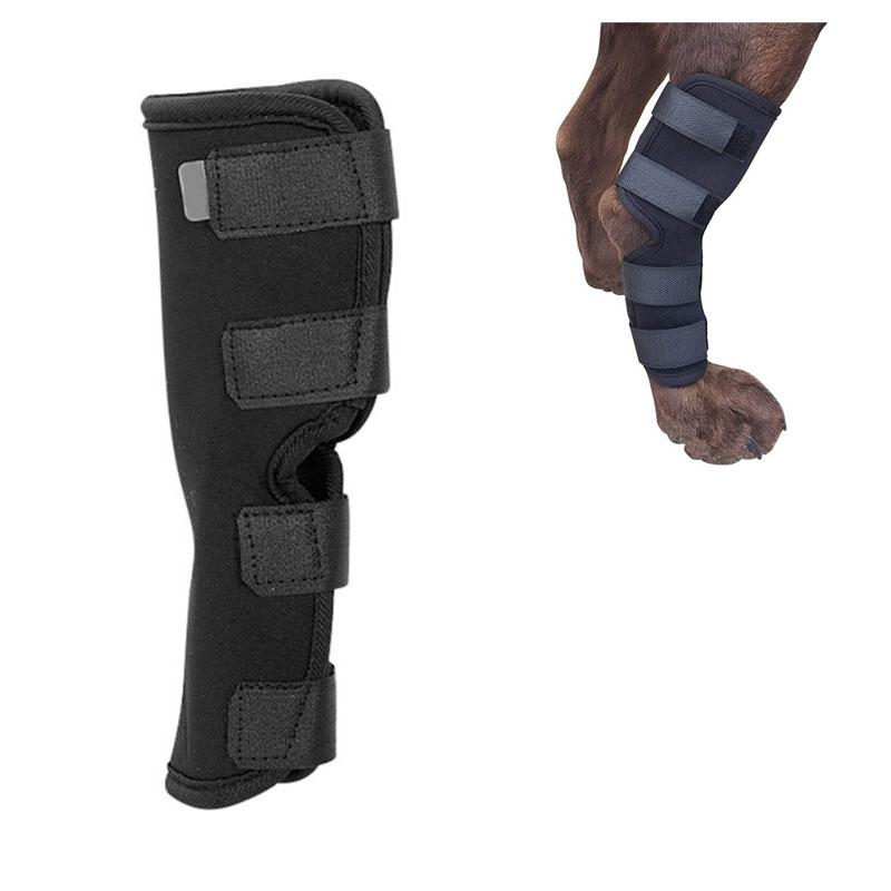 1 Pc Pet Supplies Dog's Hind Leg Protectors Pet Protectors Dog - TikTok ...
