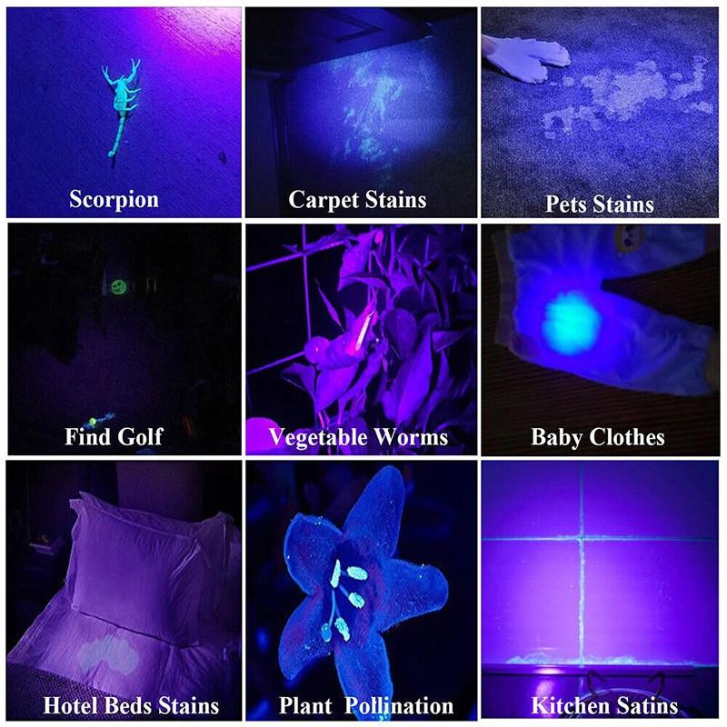 Đèn pin màu tím UV365nm sạc USB Đèn pin hợp kim nhôm LED thu phóng kính thiên văn mini UV phát hiện tiền giấy đèn phát hiện huỳnh quang 1