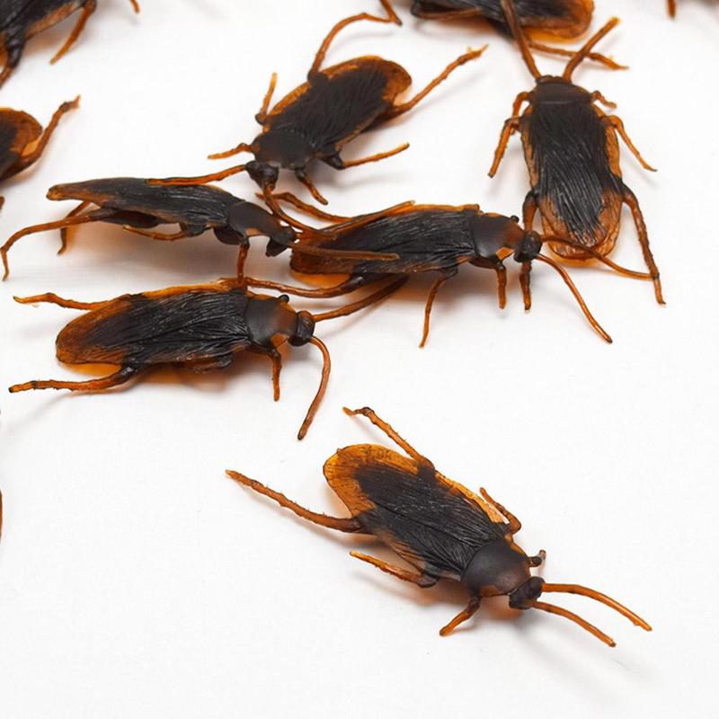 Product Introduction of April Fool's Day Simulation Cockroach Small Strong Compulsion Funny Scary Toys Prank Props 26