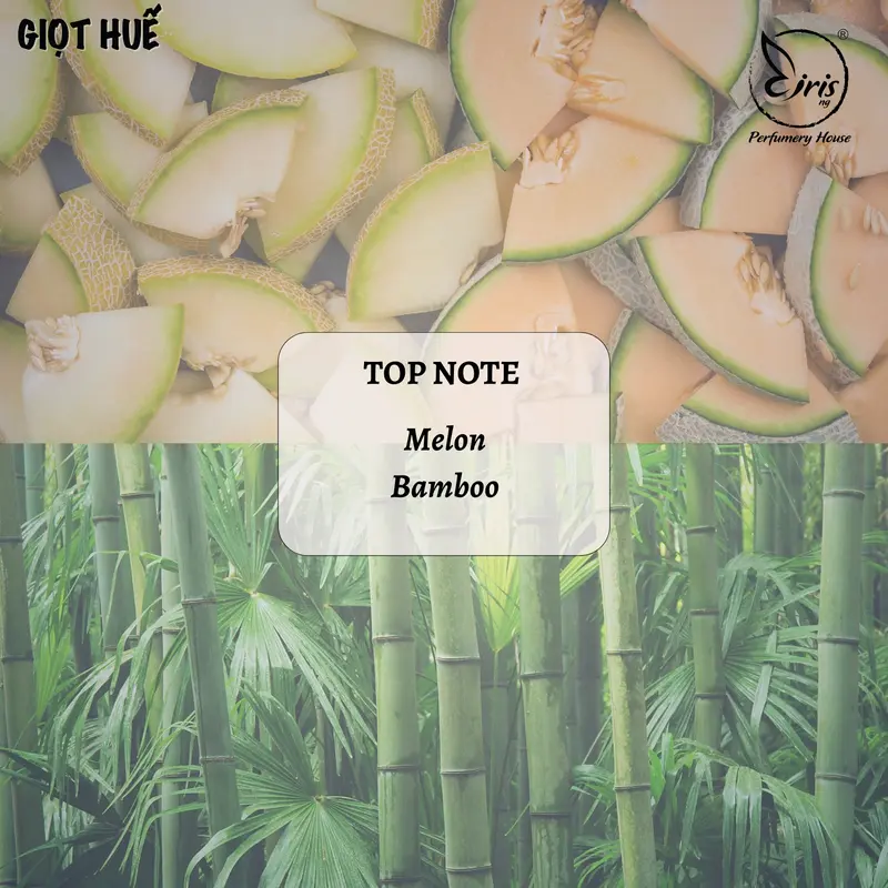 Giọt Huế - Nước Hoa Nữ Iris Nguyen Perfume - Tông Hoa Cỏ Thanh Mát 4