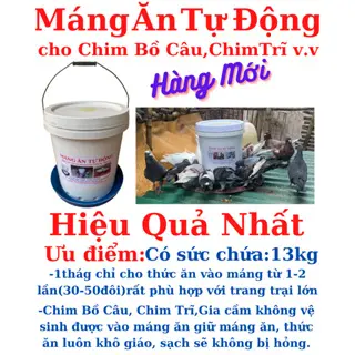 Máng ăn tự động cho Gà, Chim, dùng siêu bền hiệu quả nhất. 4