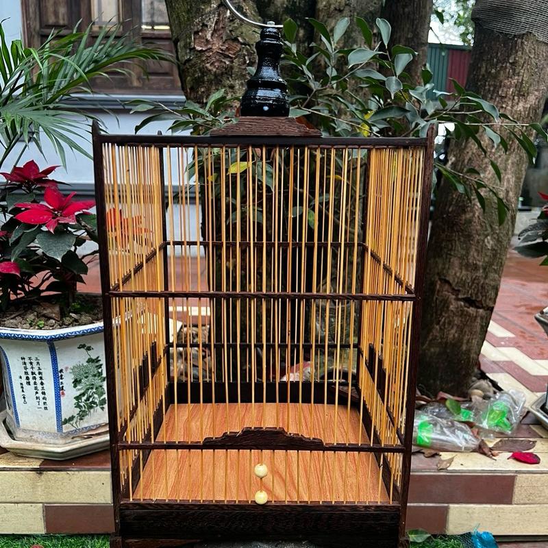 KHUNG TỰ GIÁP LỒNG CHIM HÚT MẬT GỖ MUN ĐUÔI CÔNG( tặng dầu+keo) long caurehut mat