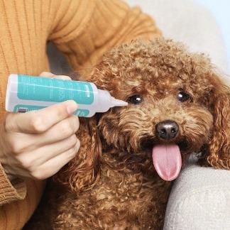 Nước Nhỏ Mắt, Nước Rửa Mắt, Nước Rửa Tai, Bông Lau Vệ Sinh Mắt, Bông Lau Vệ Sinh Tai, Bông Lau Vệ Sinh Răng, Bột Nhổ Lông Tai Chó Mèo