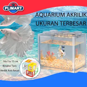 Aquarium Cupang Besar Akrilik – Tangki Ikan Betta & Guppy XXL