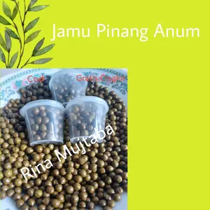 Pil Pinang Anum/Pinang Muda
