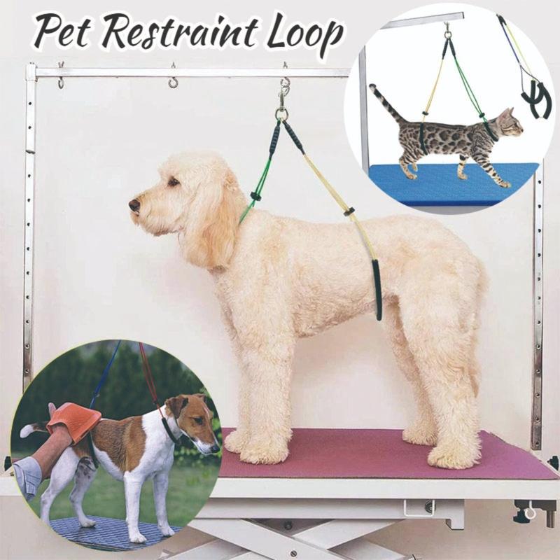 Pet Grooming Restraint Loop Bathing Beauty Cat Dog Universal - TikTok ...