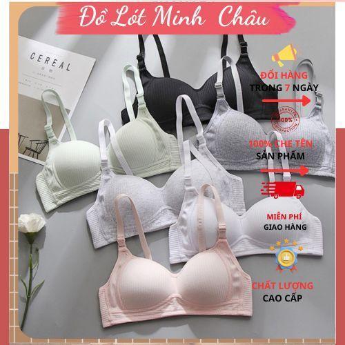 TĂNG SIZE Combo 3 Áo Lót Nữ Áo Ngực Cotton Không Gọng Áo Ngực Mút Mỏng Chất Cotton Gân Tăm Mềm Mịn Dành Cho Học Sinh Women Bra