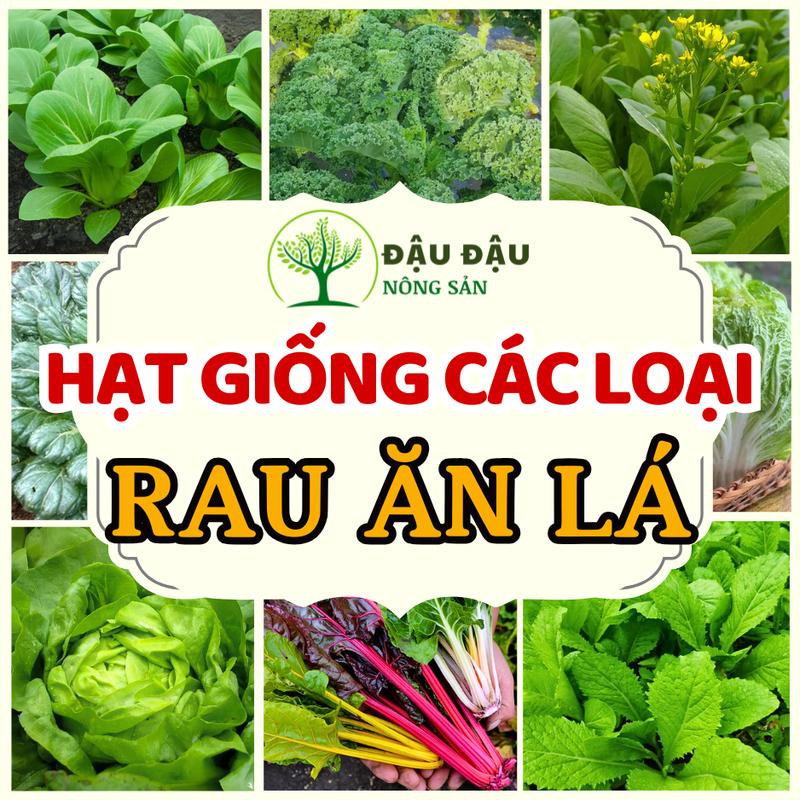 Hạt giống Rau Ăn lá các loại - dễ trồng, trồng quanh năm