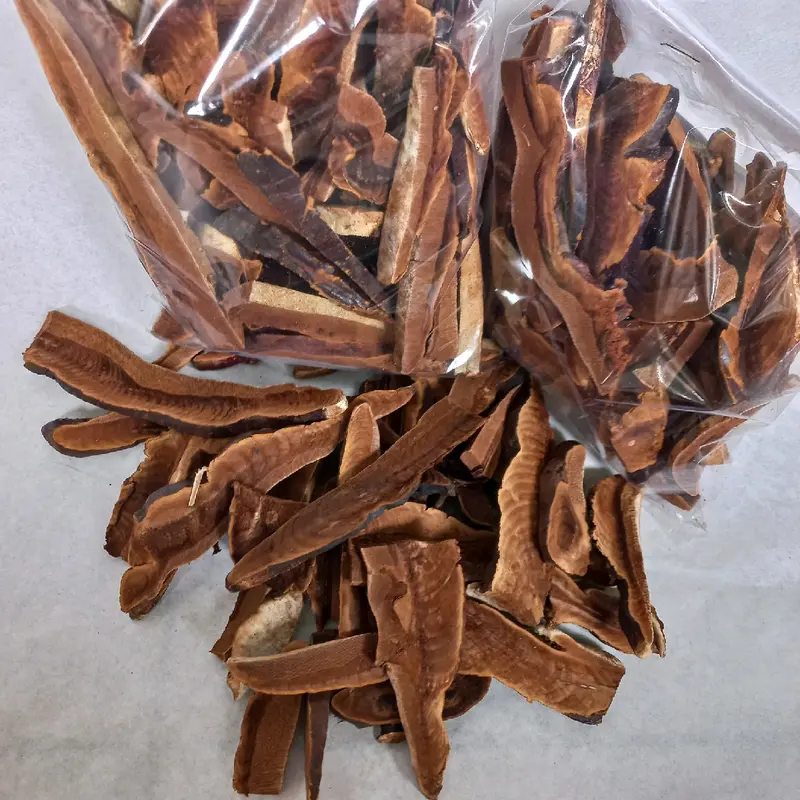 Jamur Lingzhi iris kering 100gr 3