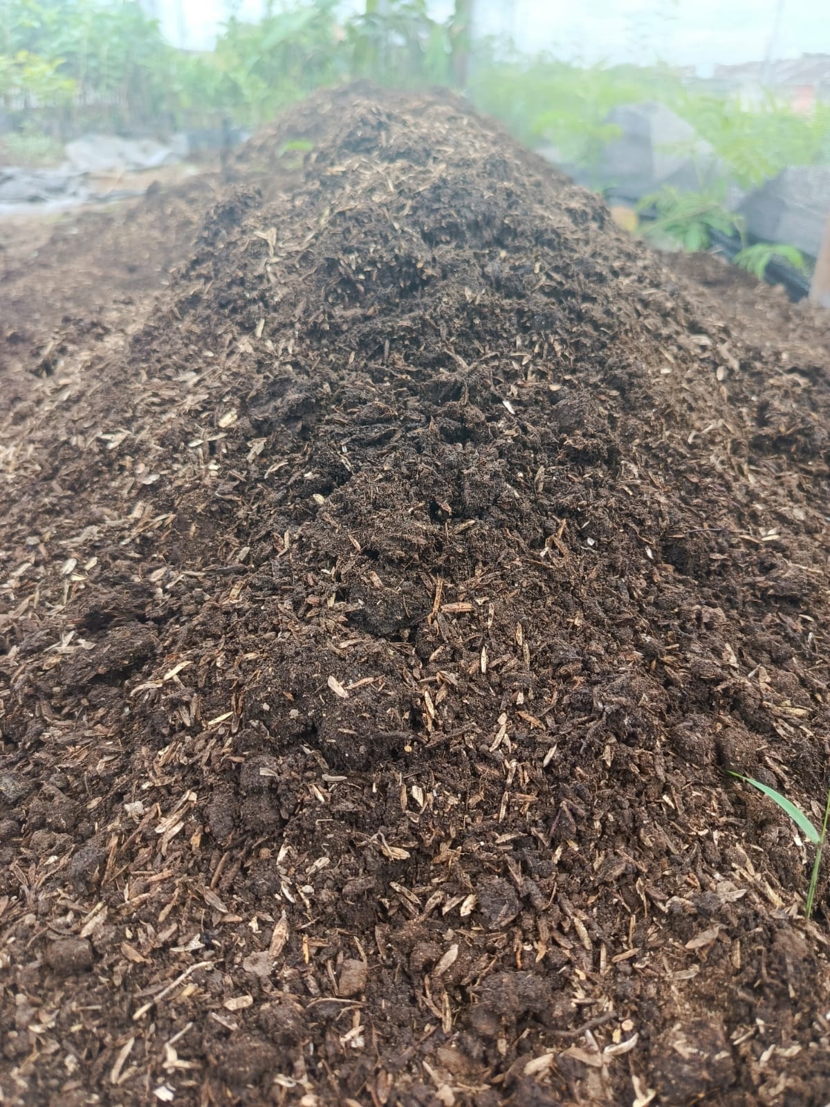 PROMO !!! MEDIA TANAM TANAH HITAM DAN SEKAM 1KG // Tanah Hitam Dan Sekam Media Tanam 1kg Cocok Untuk Tanaman Hias,buah dan sayuran PROMO !!! MEDIA TANAM TANAH HITAM DAN SEKAM 1KG // Tanah Hitam Dan Sekam Media Tanam 1kg Cocok Untuk Tanaman Hias,buah dan sayuran